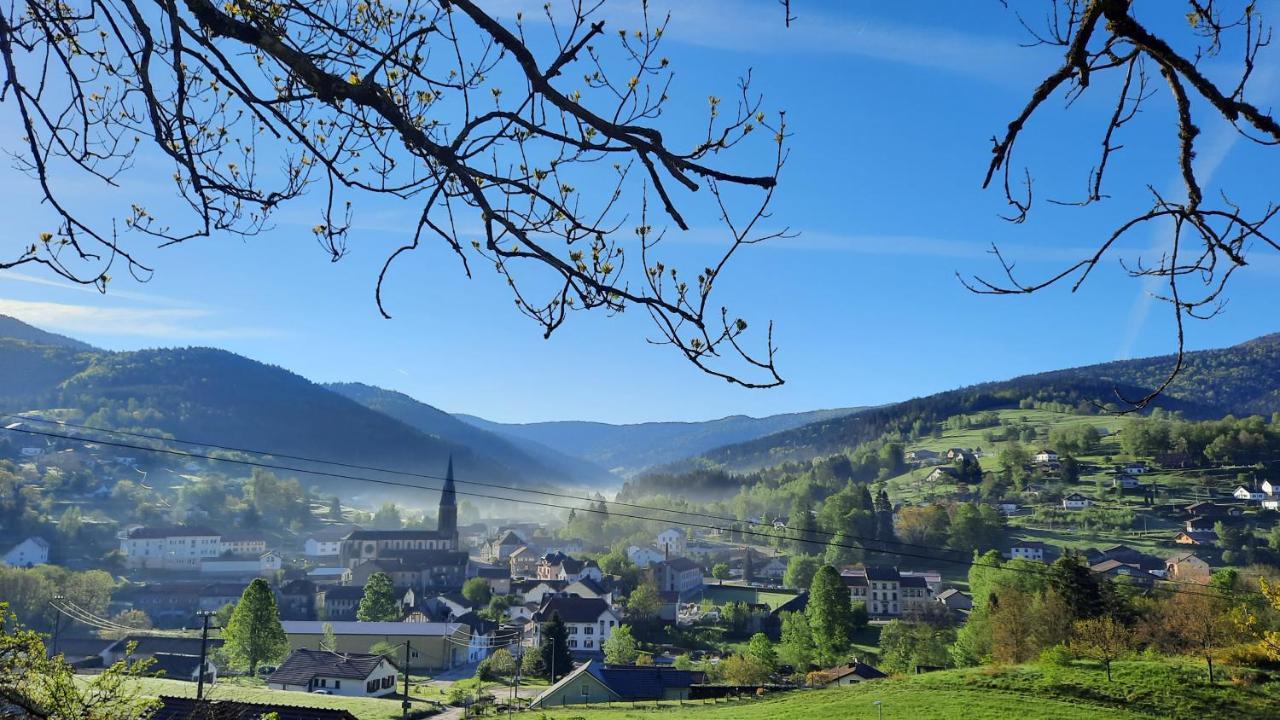 Gite Des 3 Jonquilles Saint-Maurice-sur-Moselle Dış mekan fotoğraf