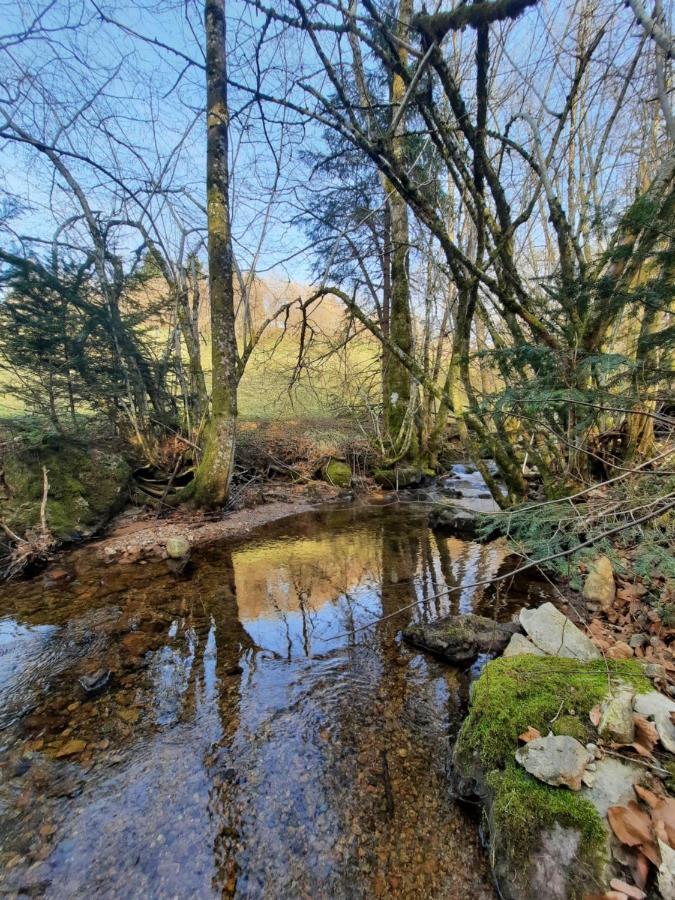 Gite Des 3 Jonquilles Saint-Maurice-sur-Moselle Dış mekan fotoğraf